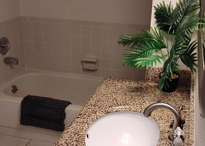 Sun Harbor-4 Min Walk To The Beach, Dog Friendly Boat Dock, Free Parking Ferienhaus Clearwater Beach